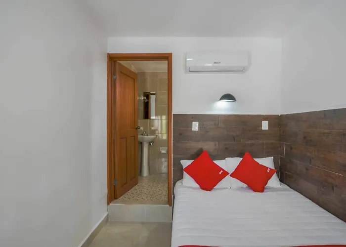 Oyo Hotel Palma Real